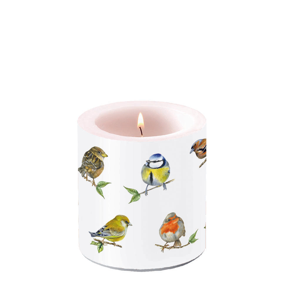 Bougie Taille M Oiseaux