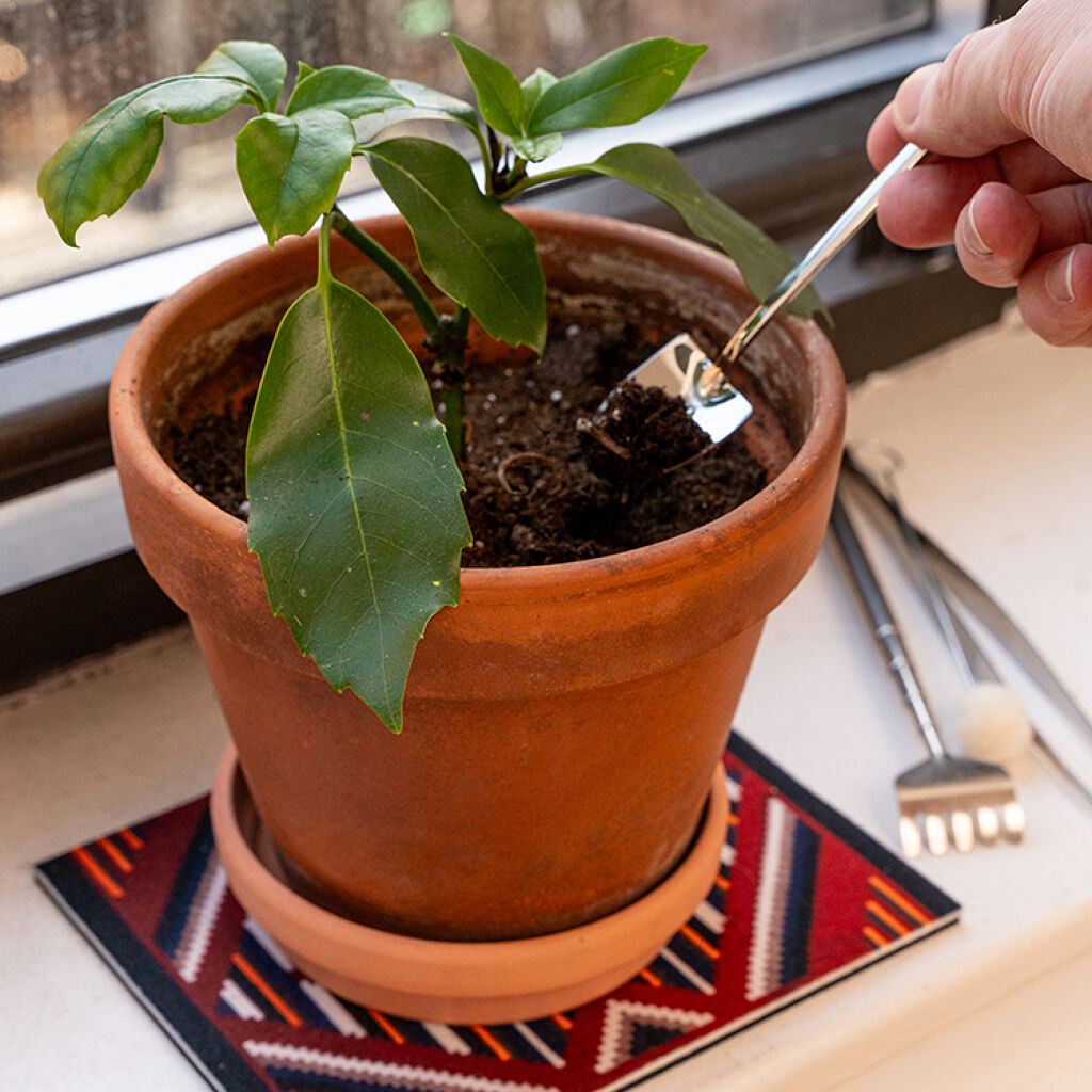 Mini outils de Jardinage
