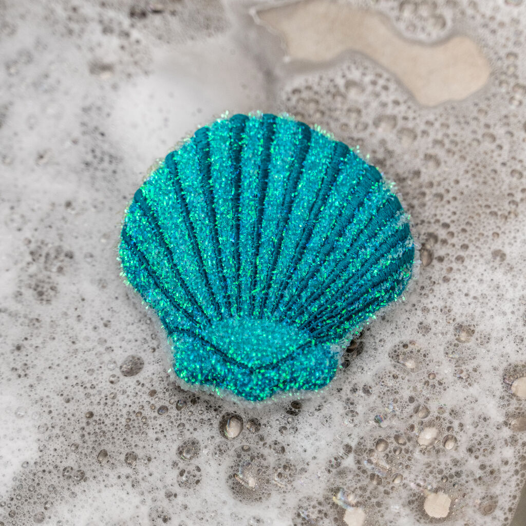Eponges à récurer Coquillage