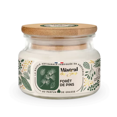 Bougie Forêt de pins