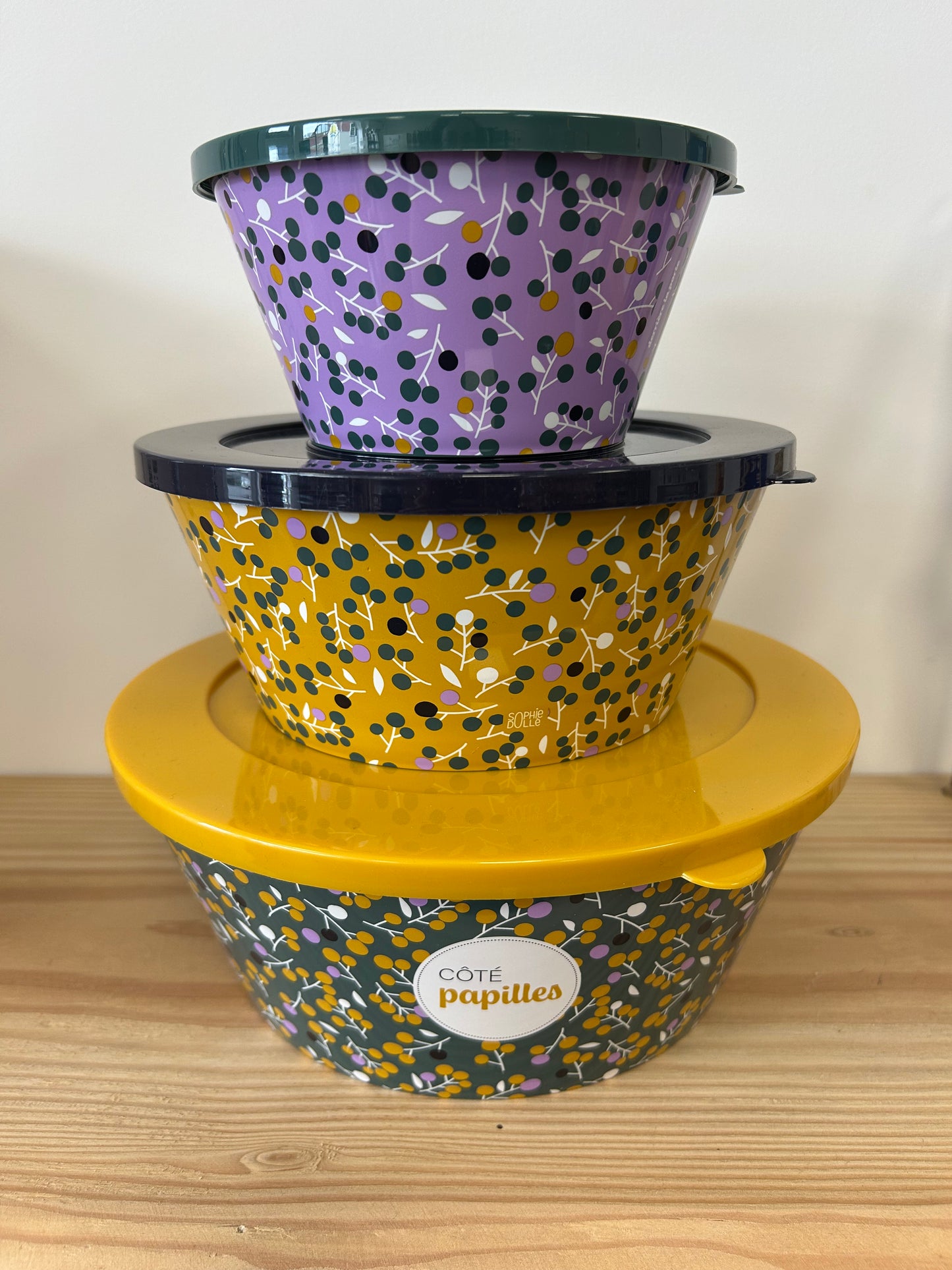 Lot 3 saladiers Côté papilles