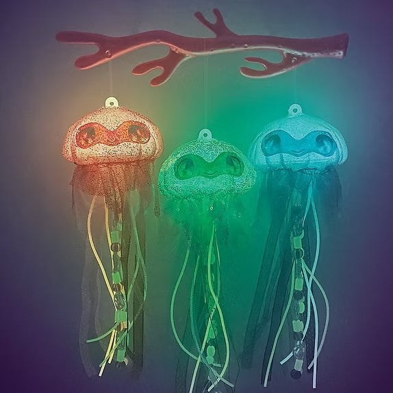Lanternes méduses