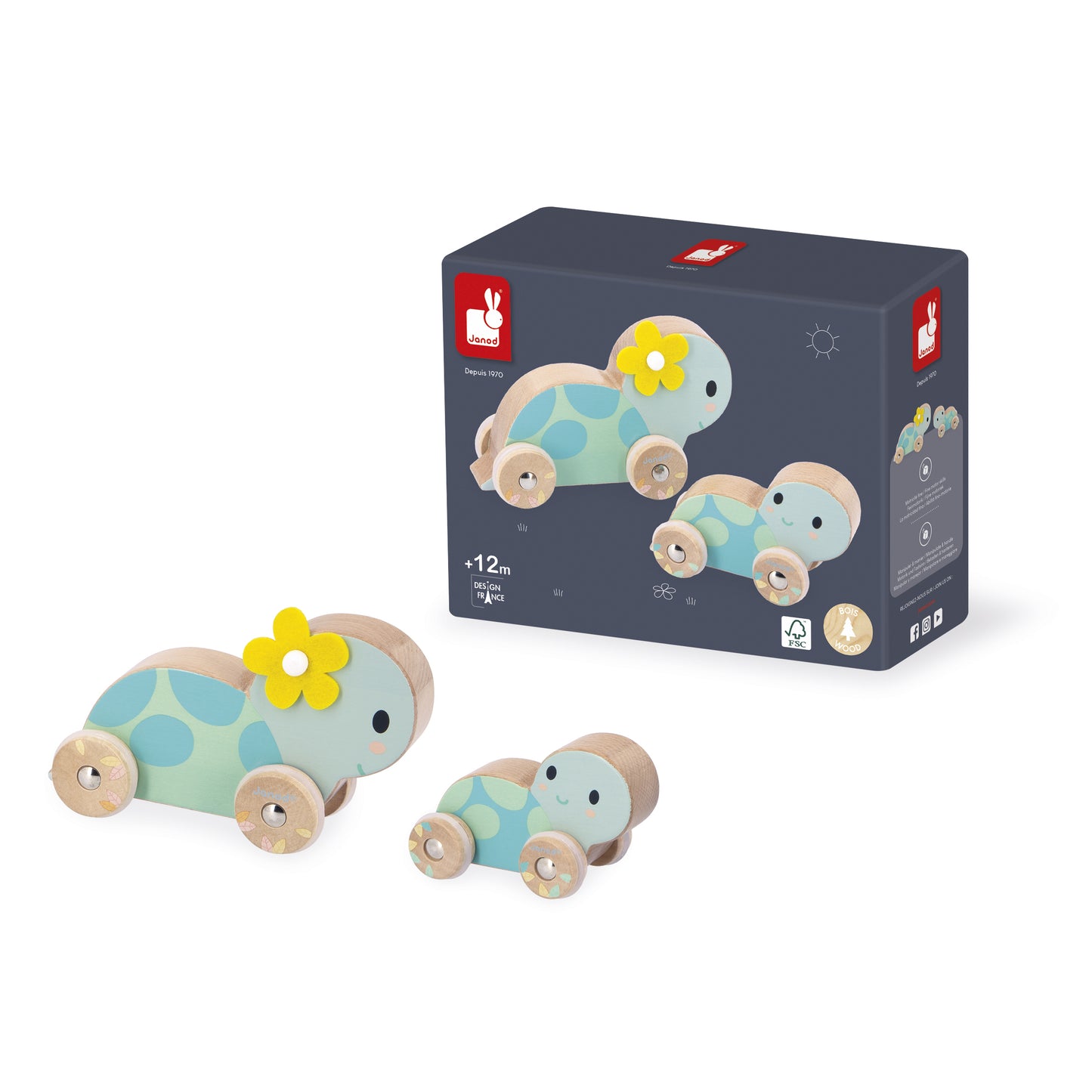 Set de 2 Tortues à Pousser Pure