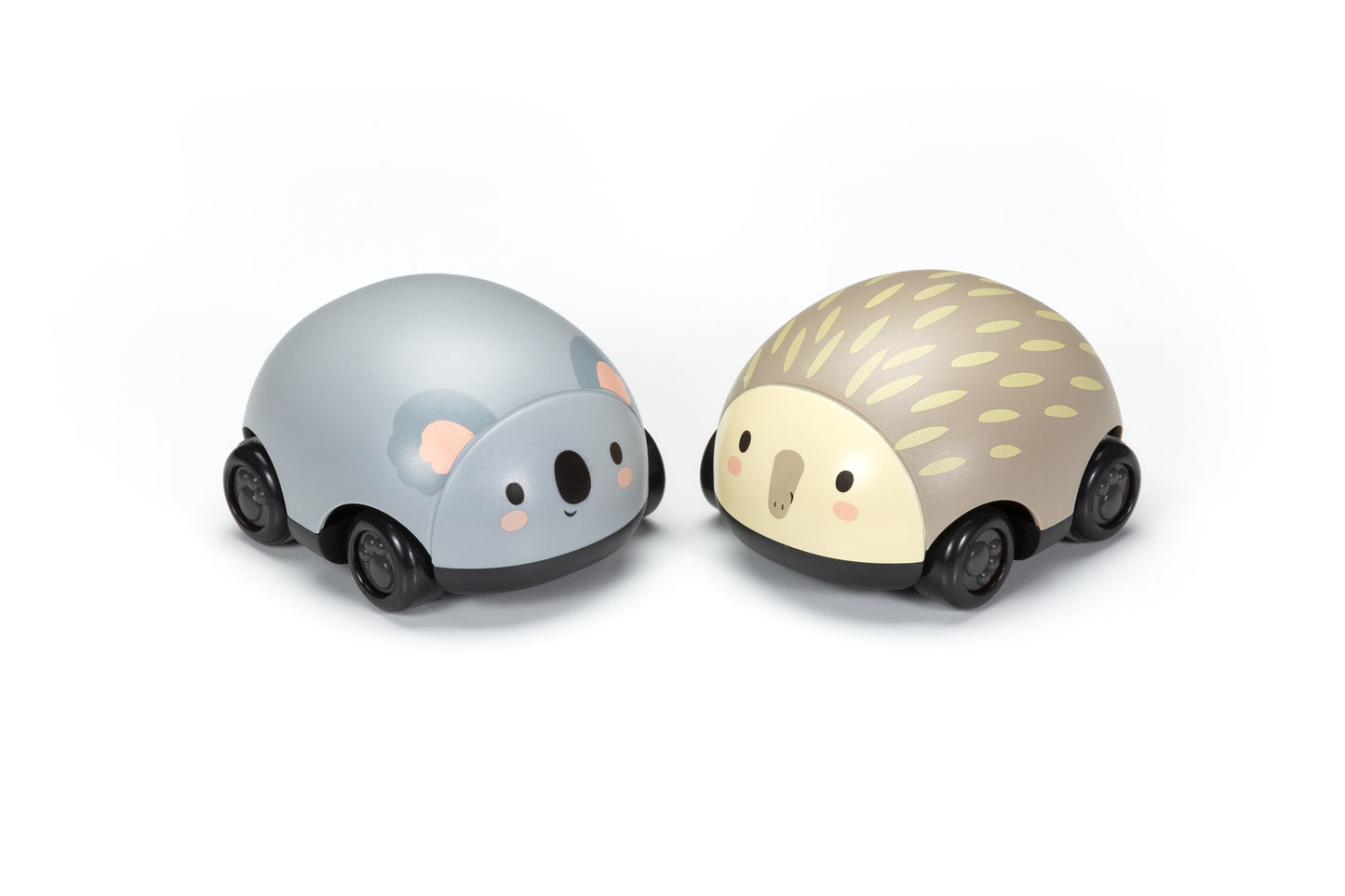 Zoomies Animaux australiens