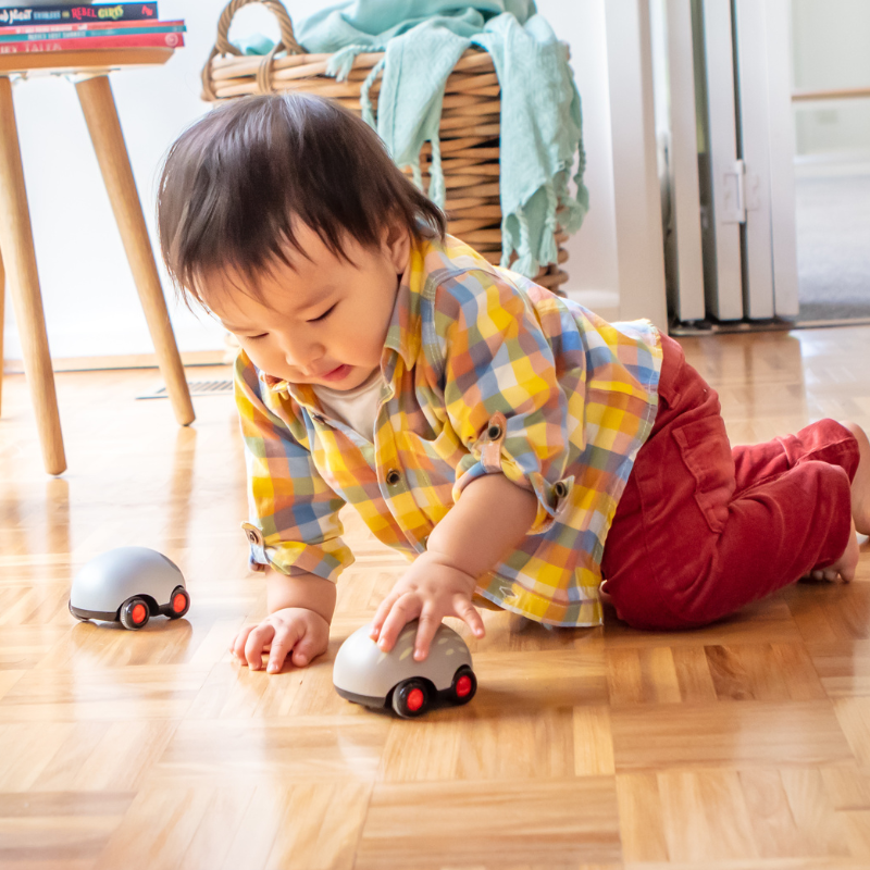 Zoomies Animaux australiens