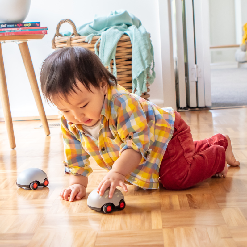 Zoomies Animaux australiens