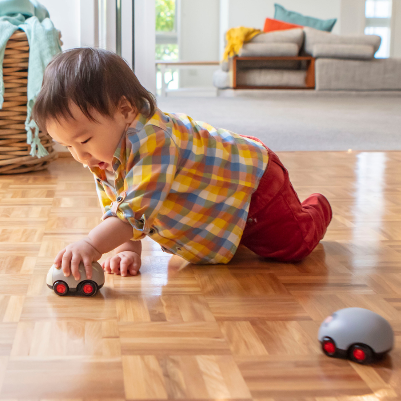 Zoomies Animaux australiens