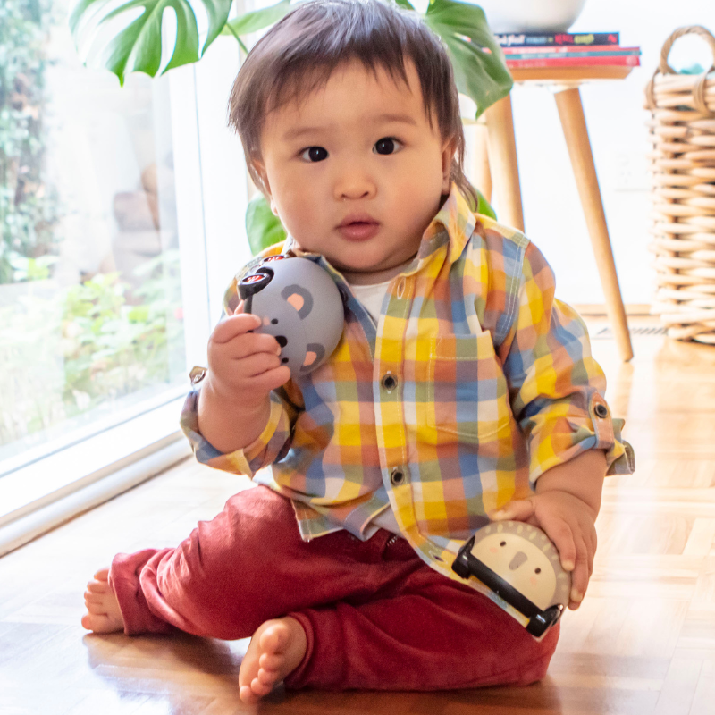 Zoomies Animaux australiens