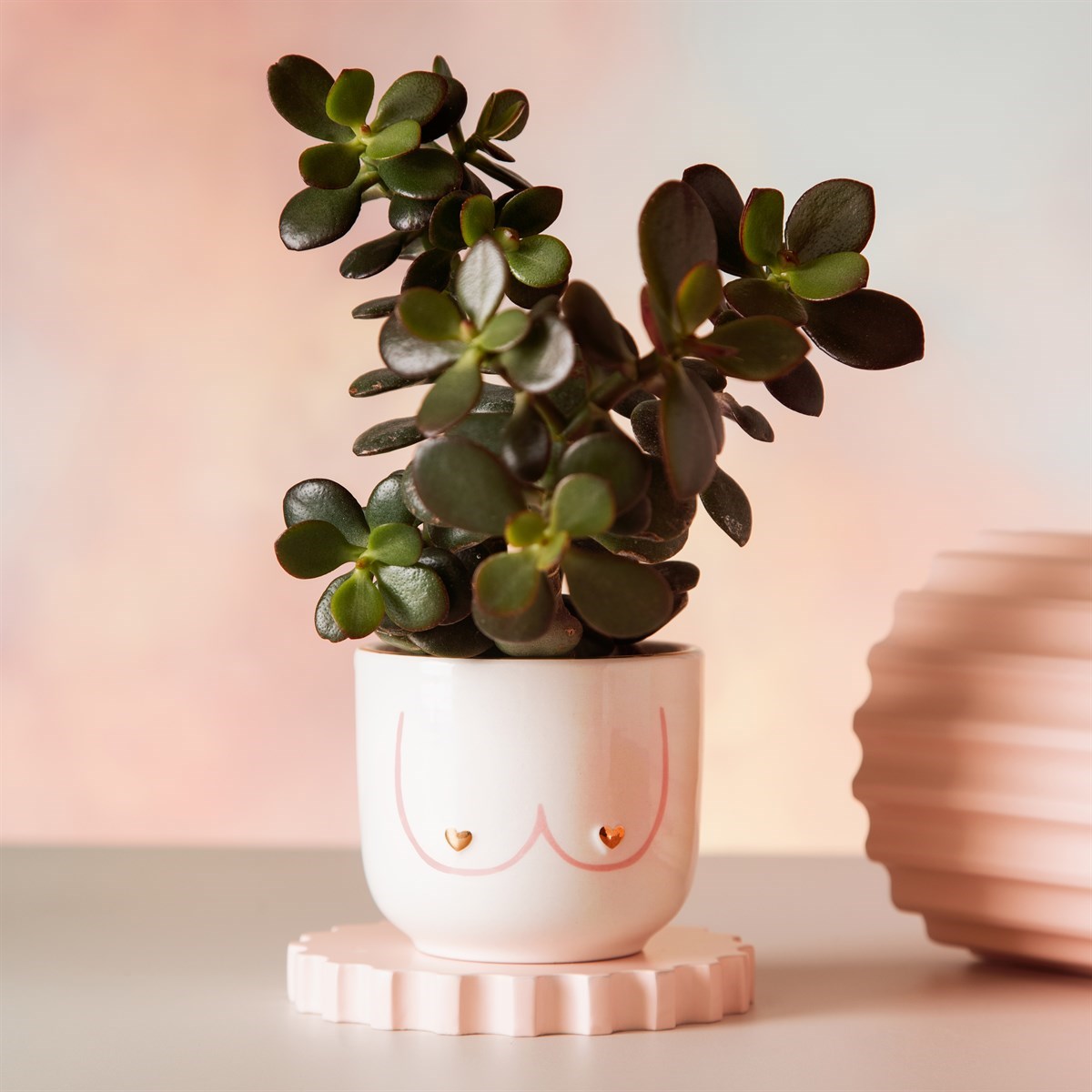 Mini Jardinière Power Boobies