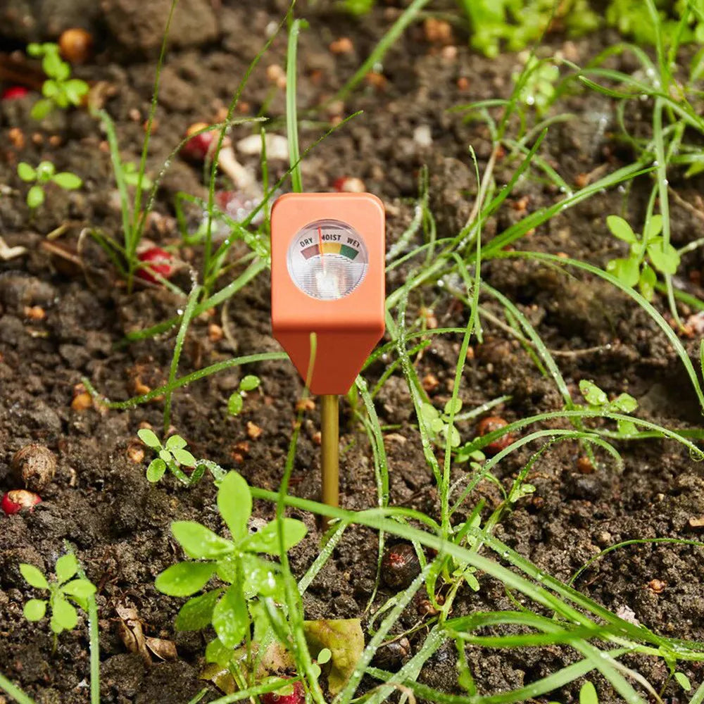 Hygromètre de jardin