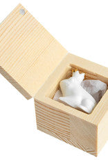 Lucky Box Grenouille