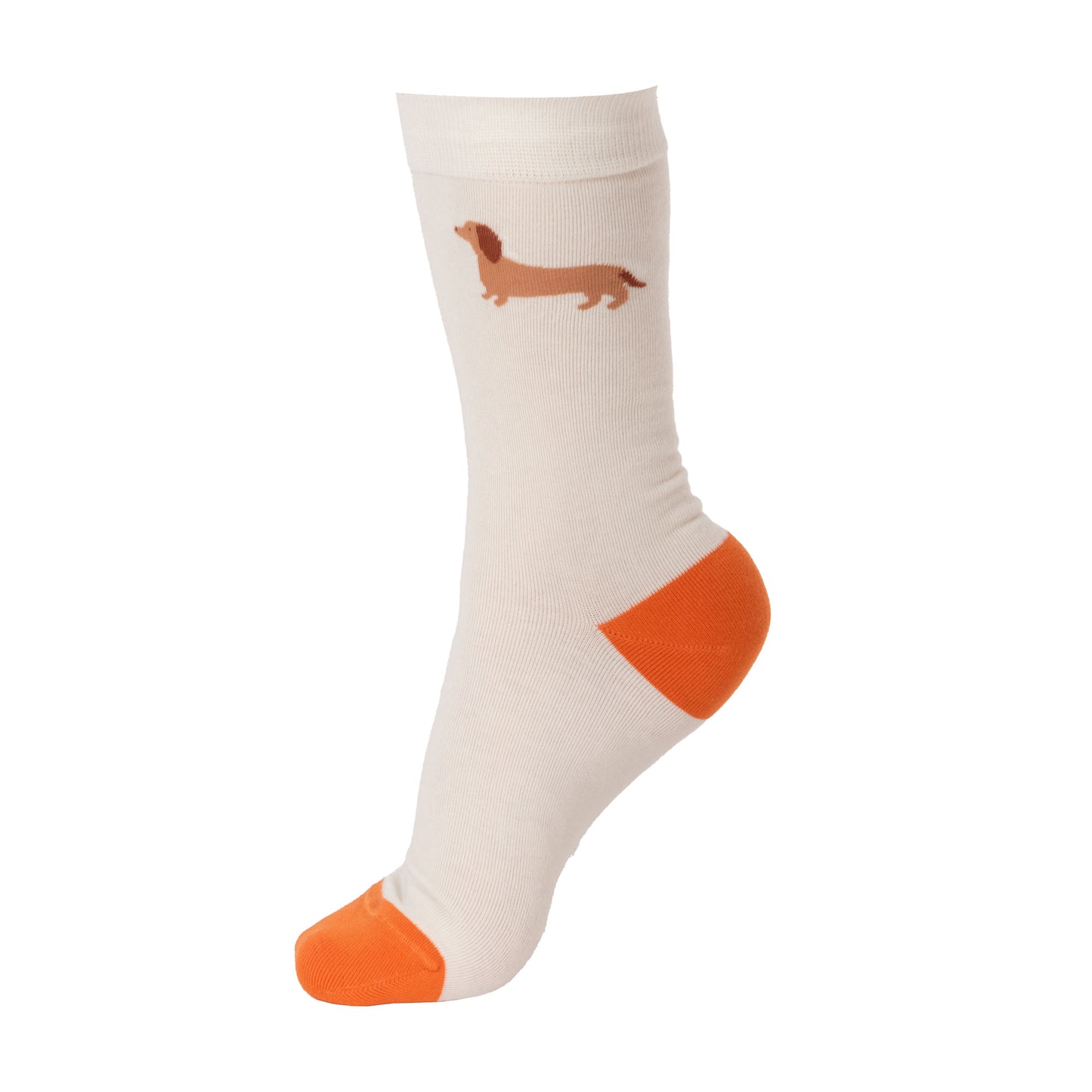 Lot de 3 chaussettes Teckel