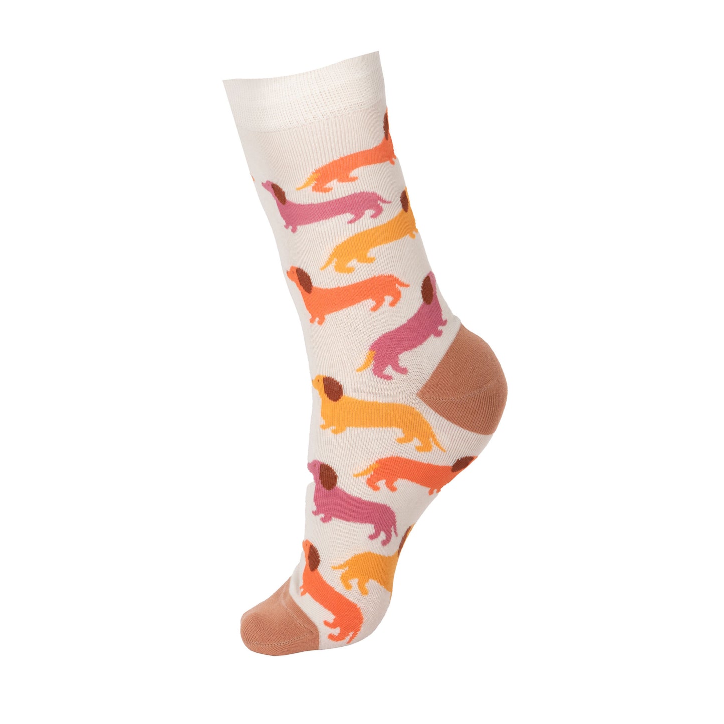 Lot de 3 chaussettes Teckel