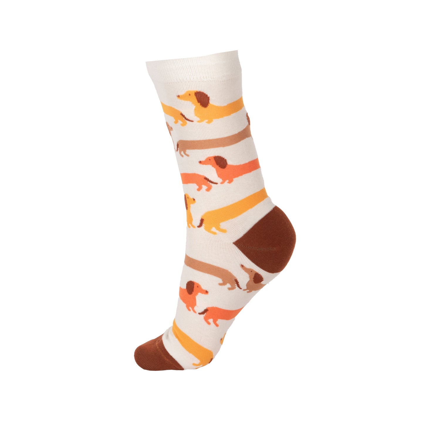 Lot de 3 chaussettes Teckel