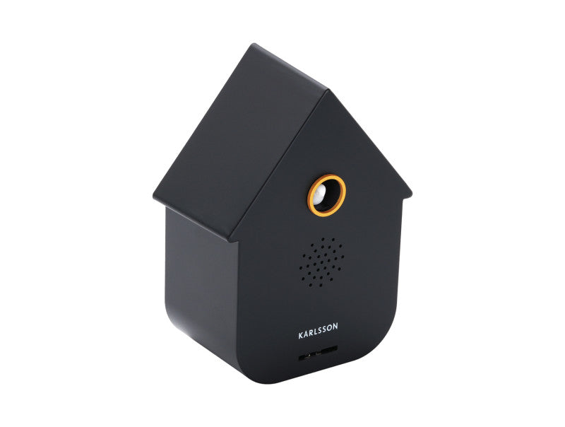 Sound Box - Divers Coloris