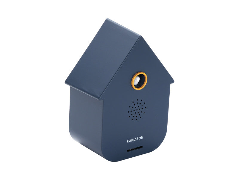 Sound Box - Divers Coloris