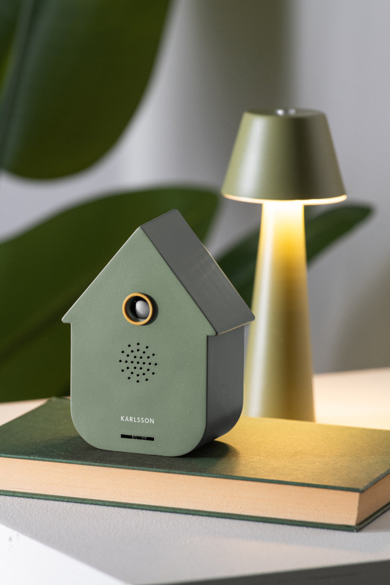 Sound Box - Divers Coloris