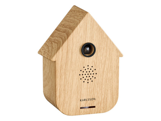 Sound Box - Divers Coloris