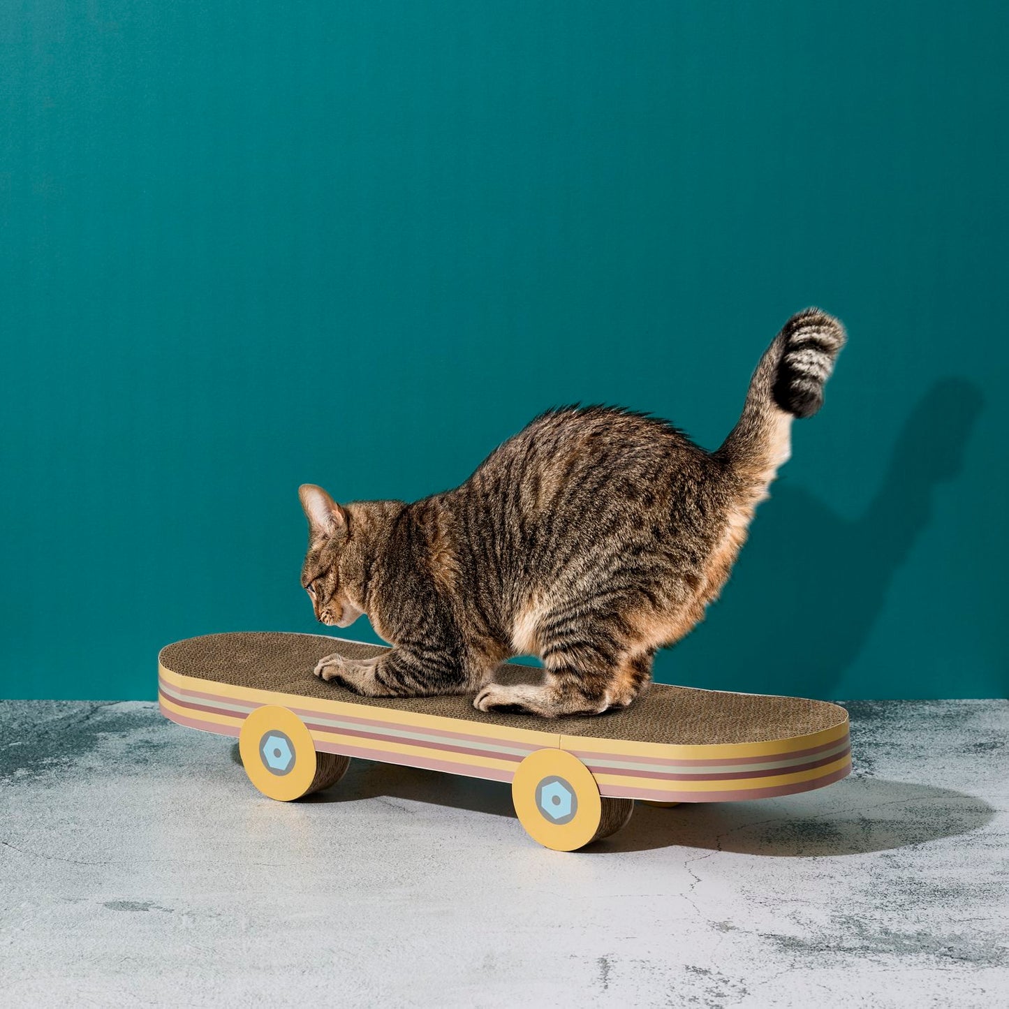 Griffoir pour Chat Skateboard