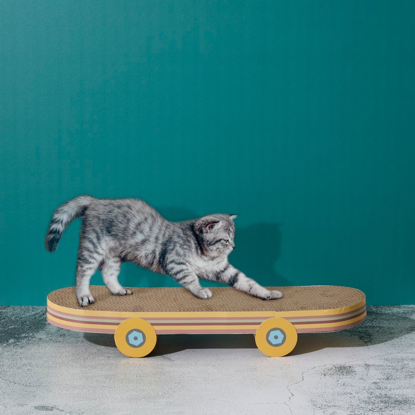 Griffoir pour Chat Skateboard