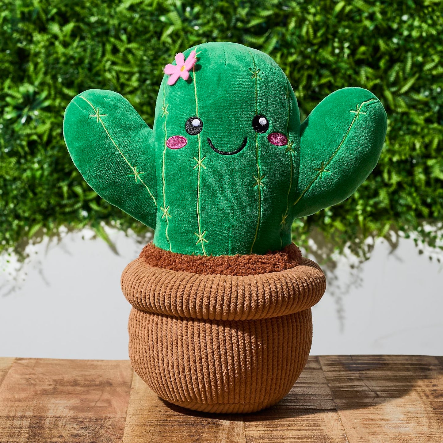 Mon marché aux fleurs Cactus