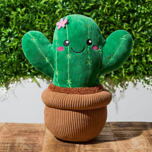 Mon marché aux fleurs Cactus