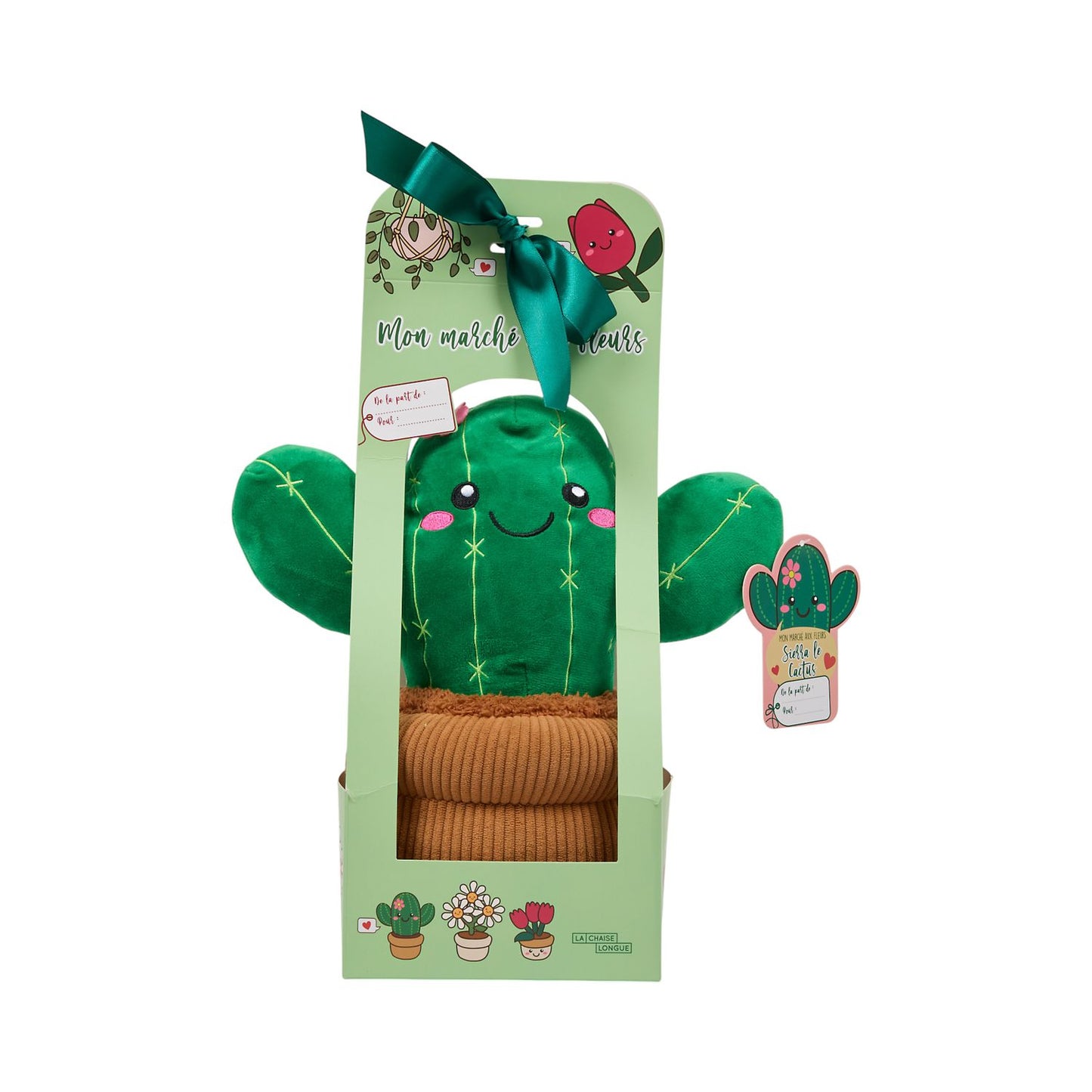 Mon marché aux fleurs Cactus