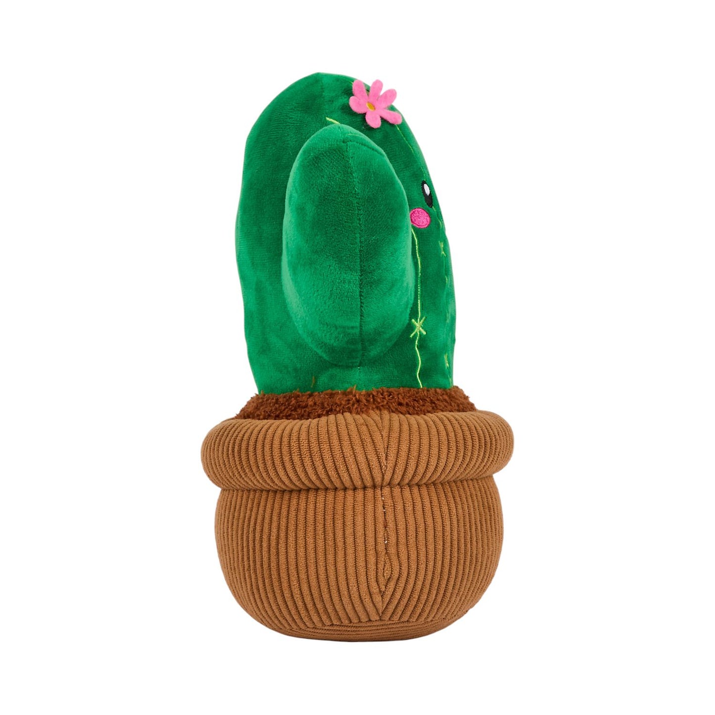 Mon marché aux fleurs Cactus