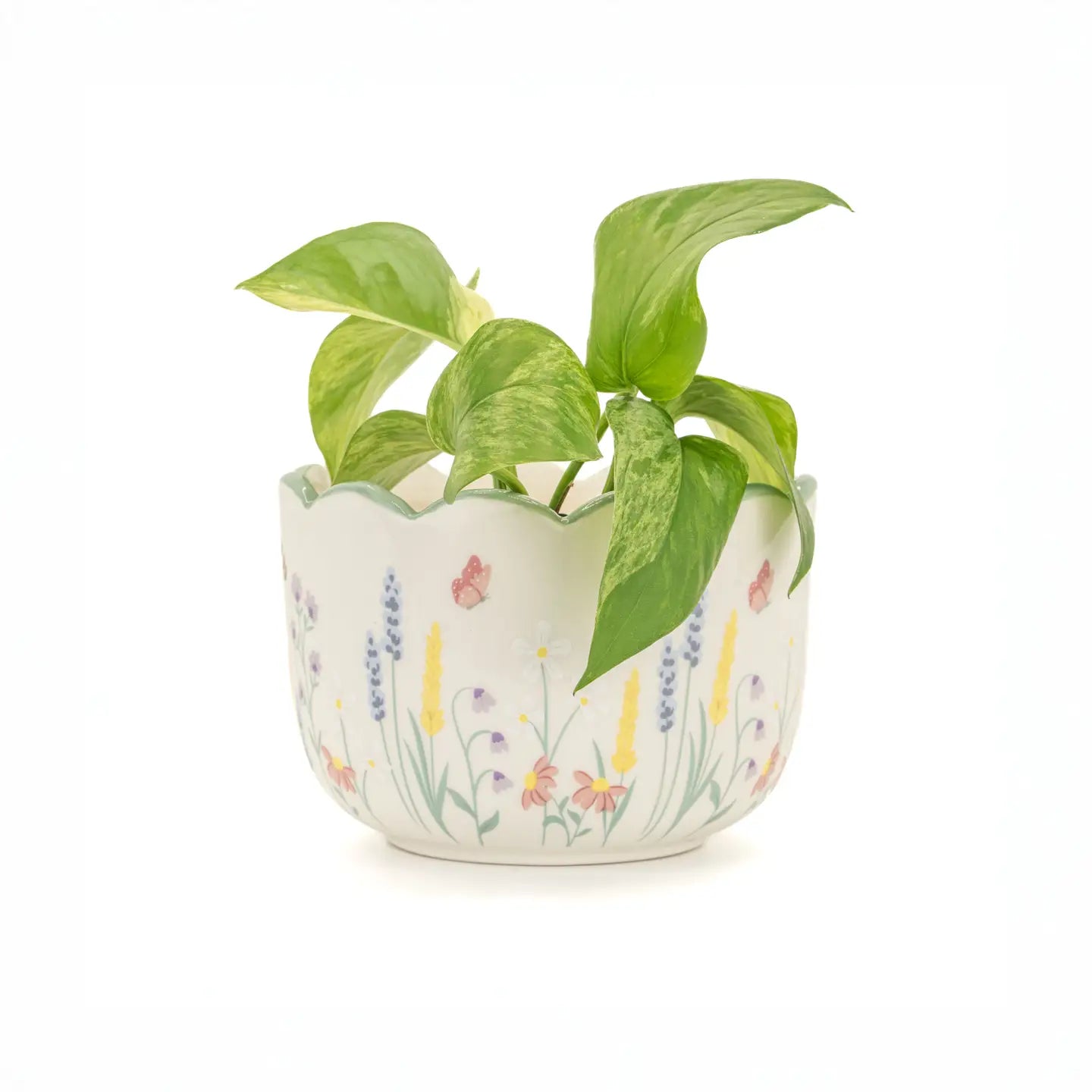 Cache pot prairie