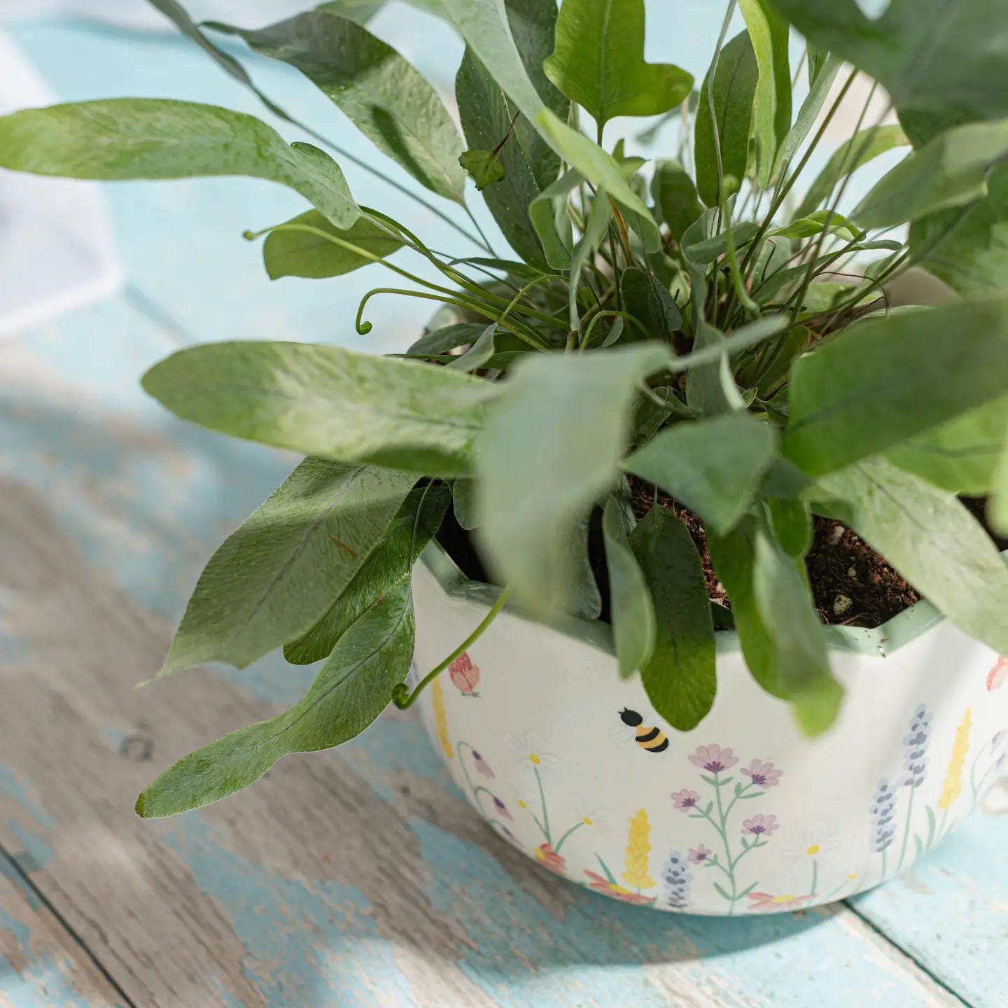 Cache pot prairie