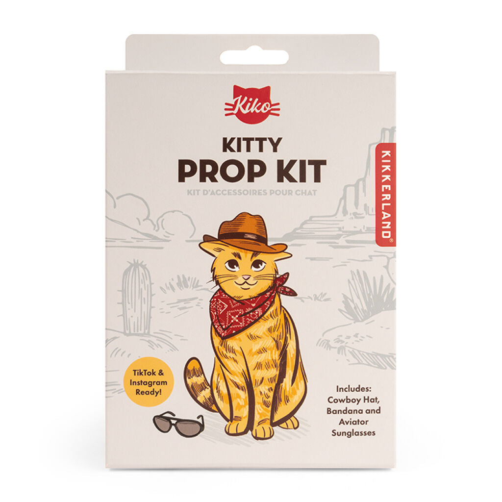 Kit d'accessoires pour chat