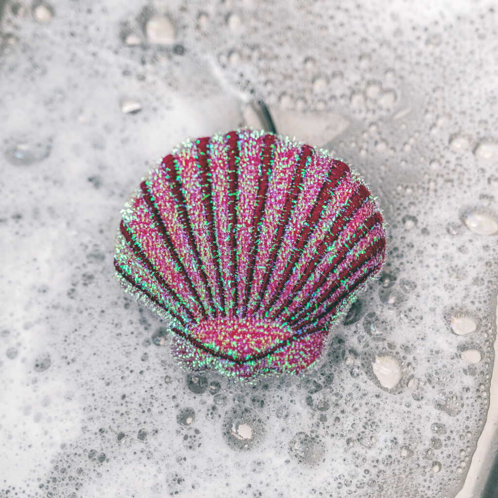 Eponges à récurer Coquillage