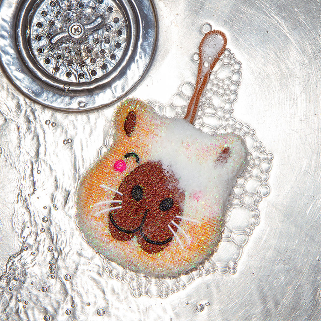 Eponges à récurer Capybara