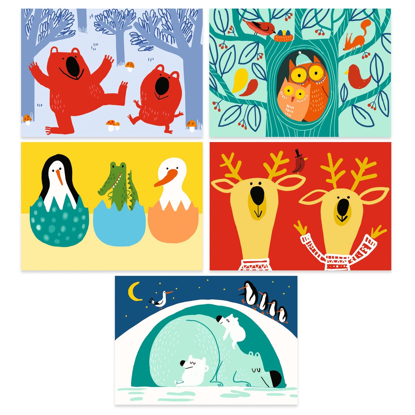 Cartes à gratter - Animaux à découvrir