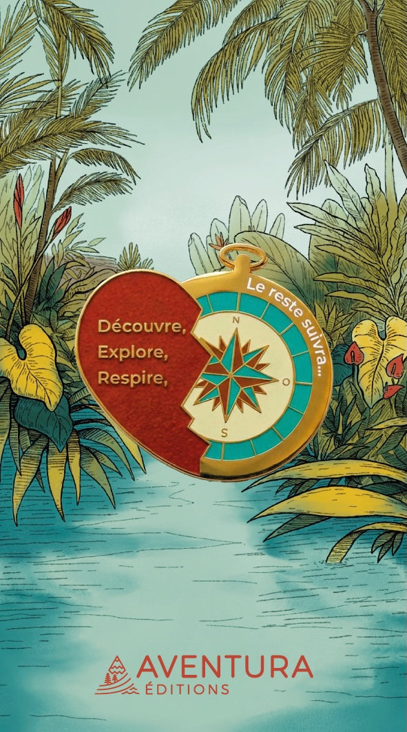 Pin's Aventura - Divers Modèles