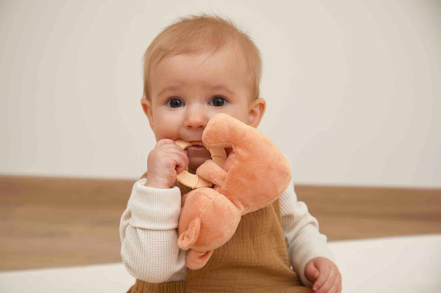 Peluche anneau de dentition - Ecureuil