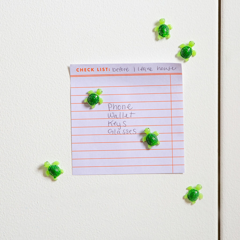 Set 6 magnets bébé Tortue
