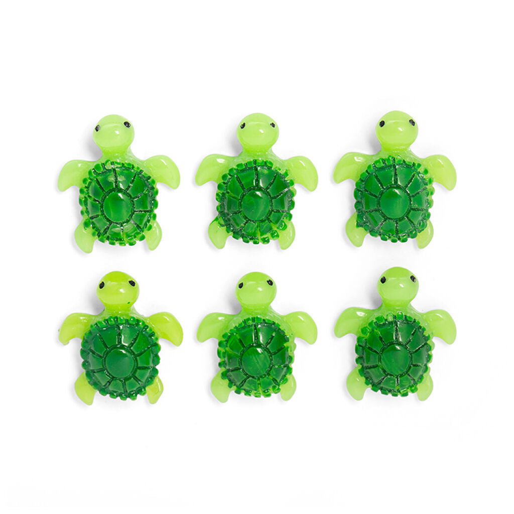 Set 6 magnets bébé Tortue