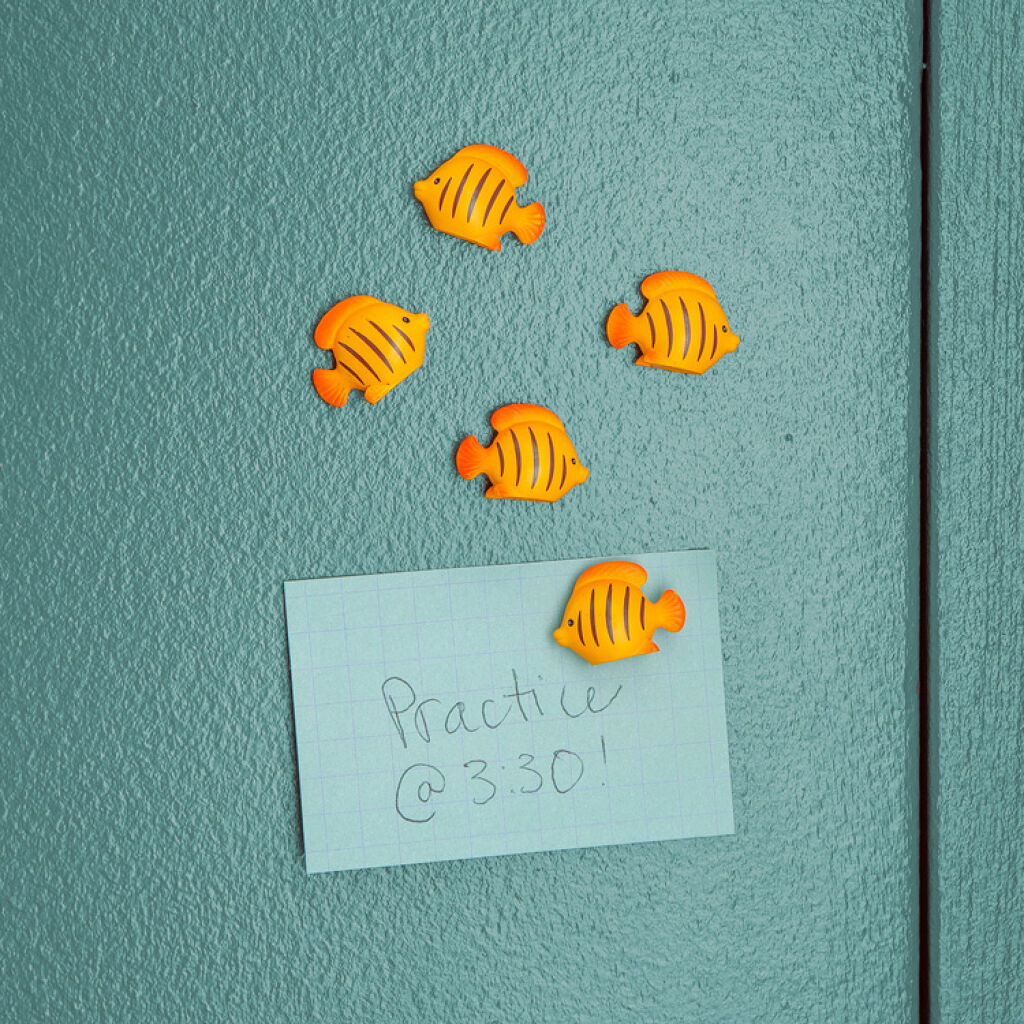 Set de 5 magnets poissons