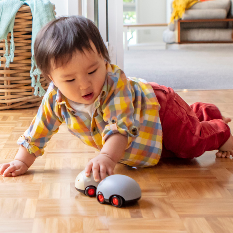 Zoomies Animaux australiens