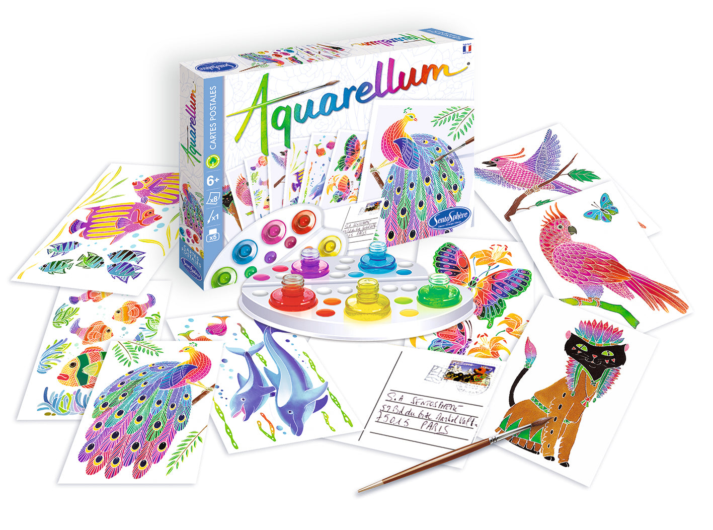 Aquarellum Cartes Postales Animaux