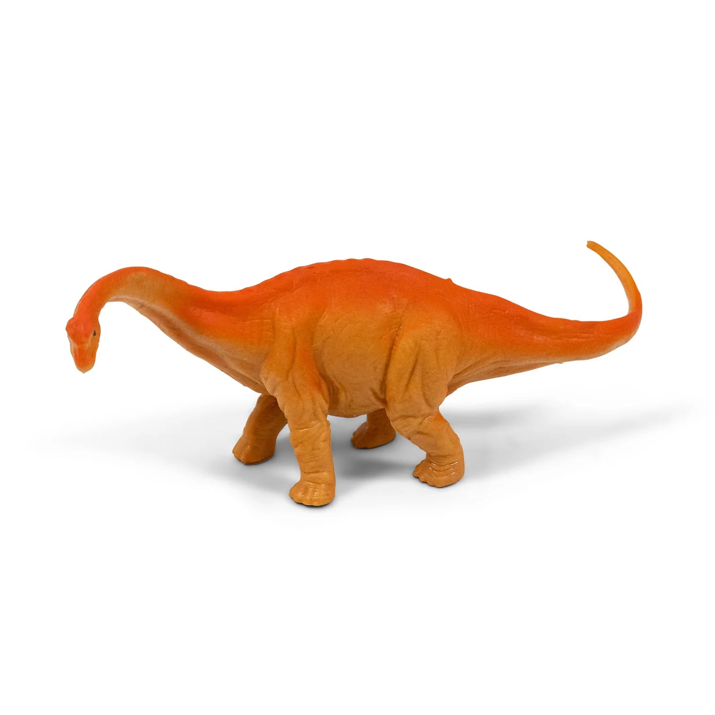 Squishy Bead Ball Dino - modèle aléatoire