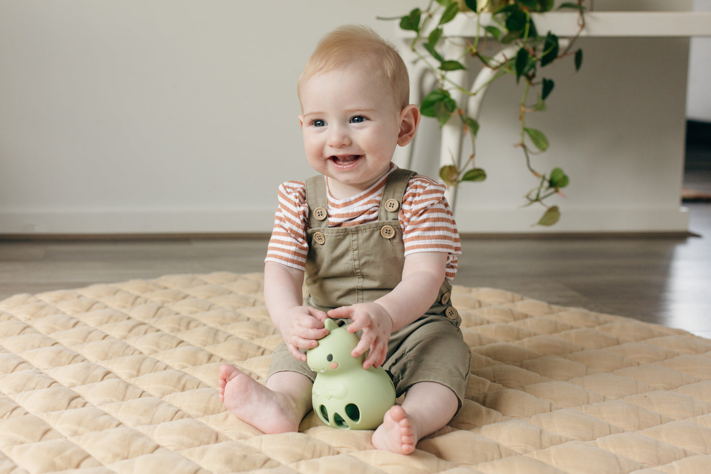 Hochet silicone rattle Dino