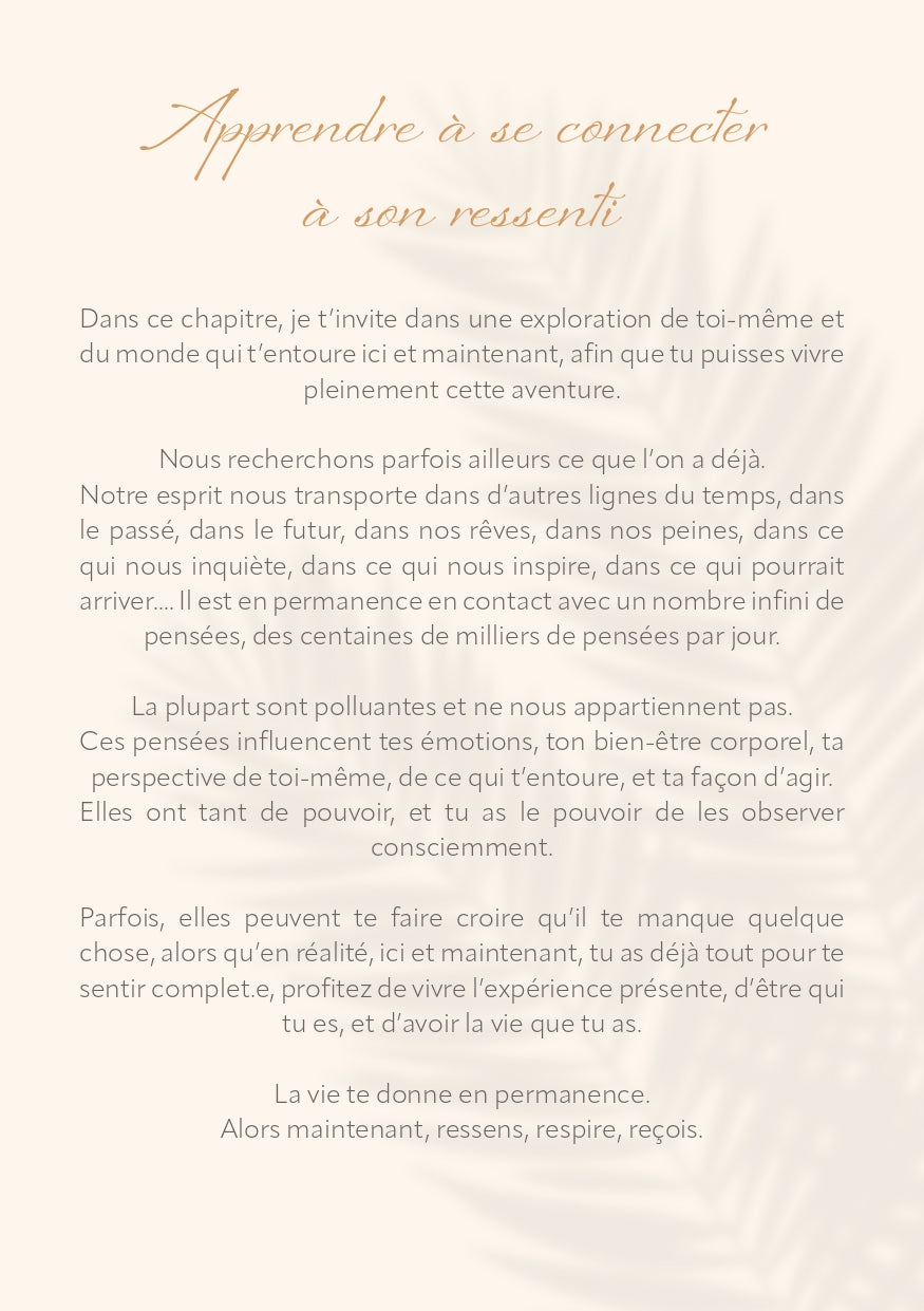 Bien Etre Carnet de voyage