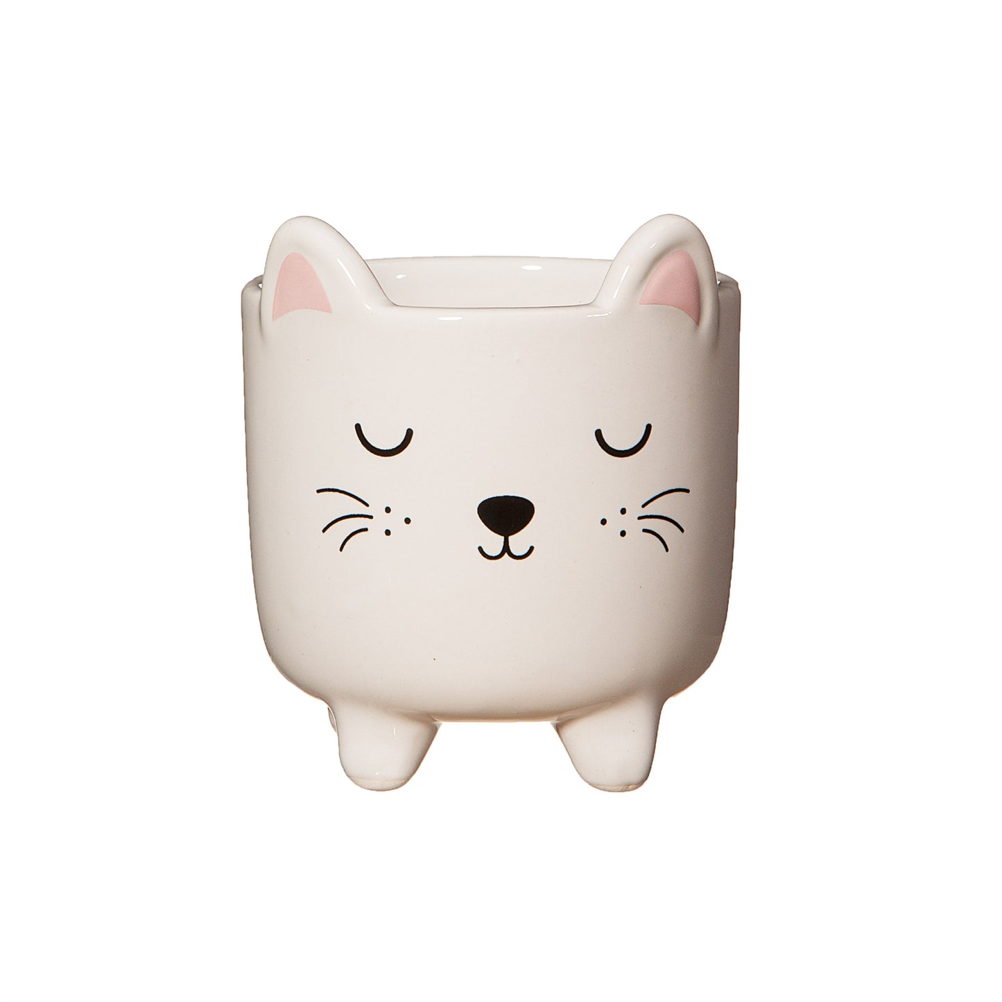 Mini Jardinière Chat