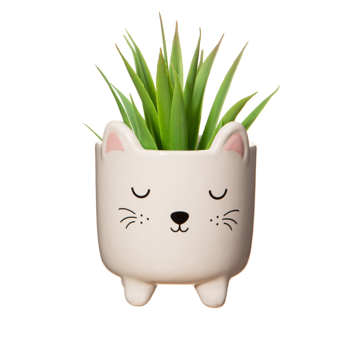 Mini Jardinière Chat