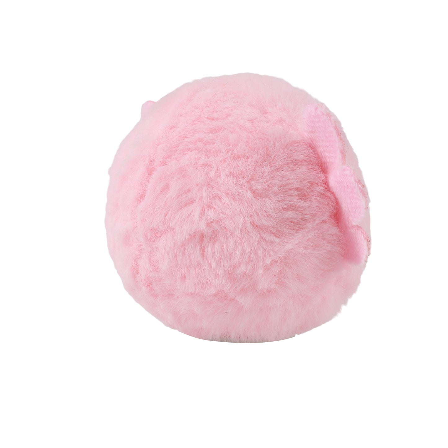 Bouncing Ball Axolotl