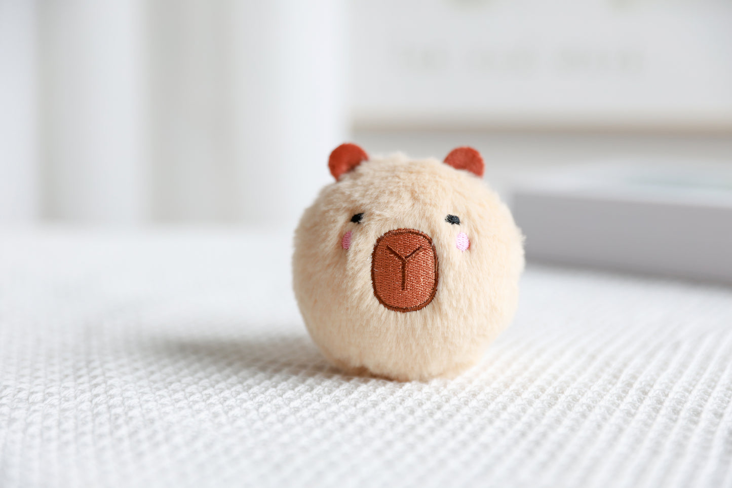 Bouncing Ball Capybara