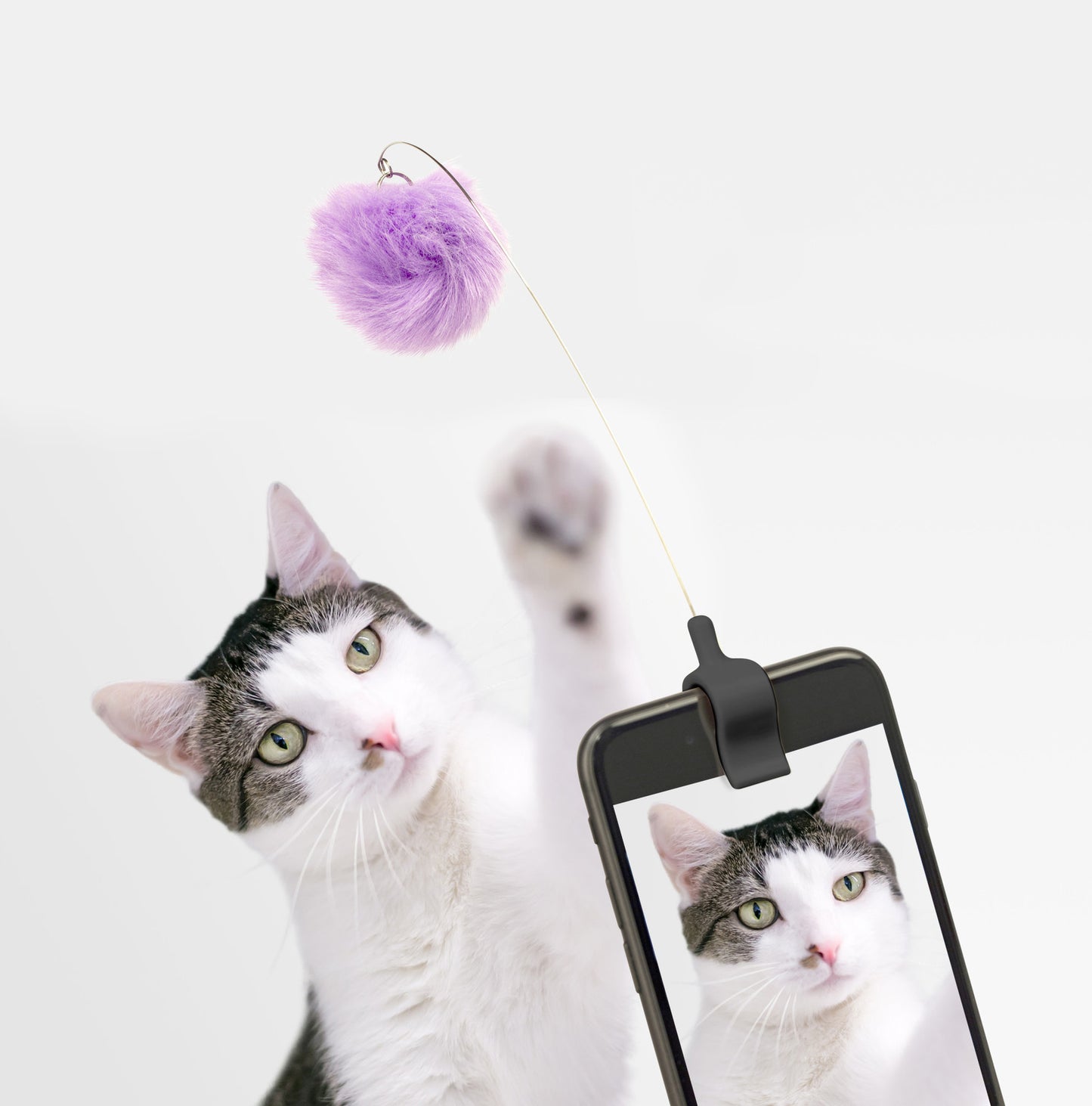 Clip pour selfie de chat