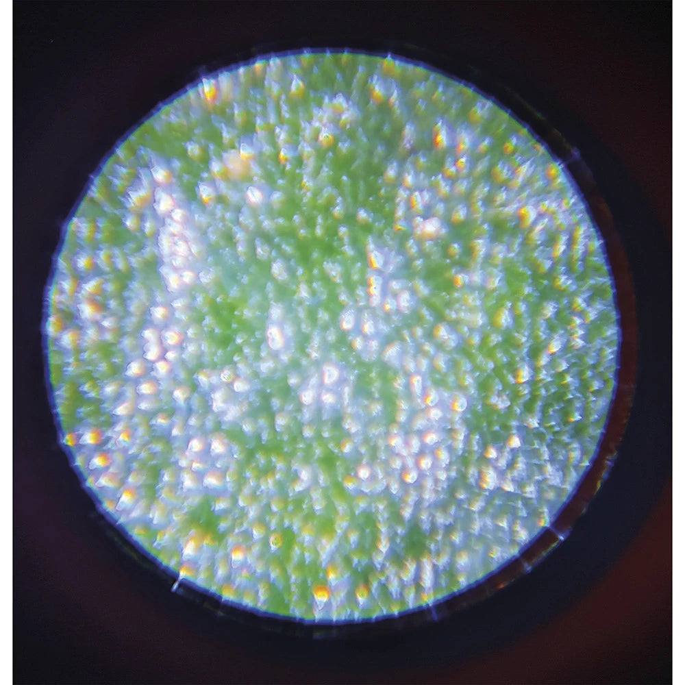 Microscope de Poche